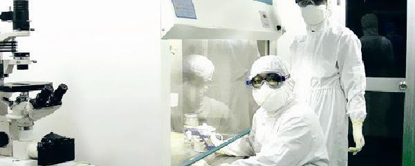 生物安全與生物技術開發 定義、挑戰與前景